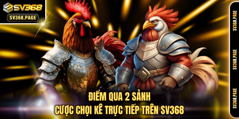 Điểm qua 2 sảnh cược chọi kê trực tiếp trên SV368