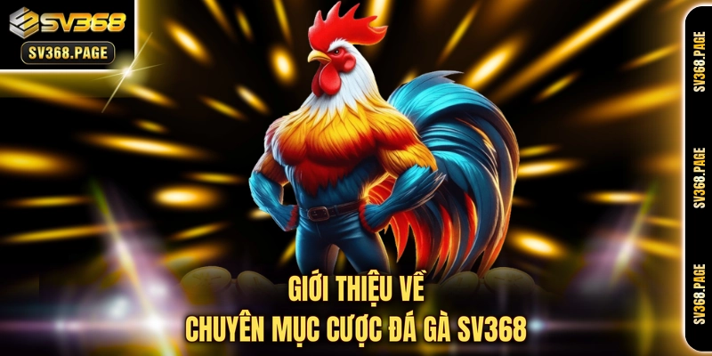 Giới thiệu về chuyên mục cược đá gà SV368